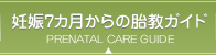 妊娠7カ月からの胎教ガイド